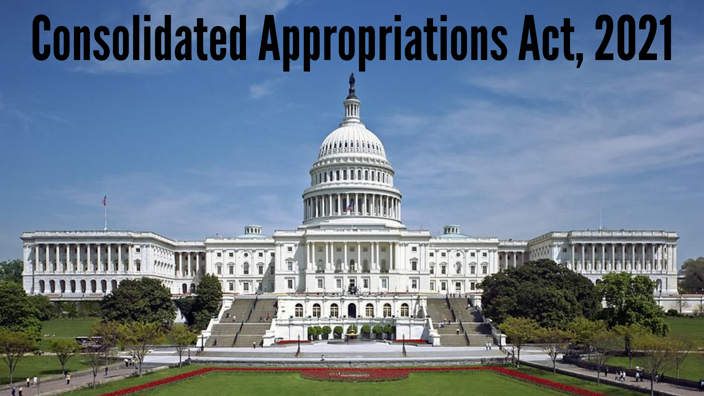 Consolidated Appropriations Act, 2021